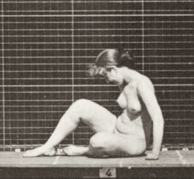 Plate 266 Turning and changing position while on the ground — figure reference